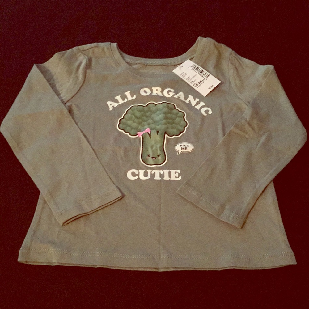 BNWT toddler 18-24M long sleeve shirt